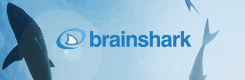 bliss-brainshark