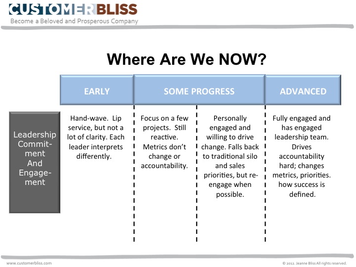 Rate Your Customer Experience Progress Why Customer Efforts Fail
