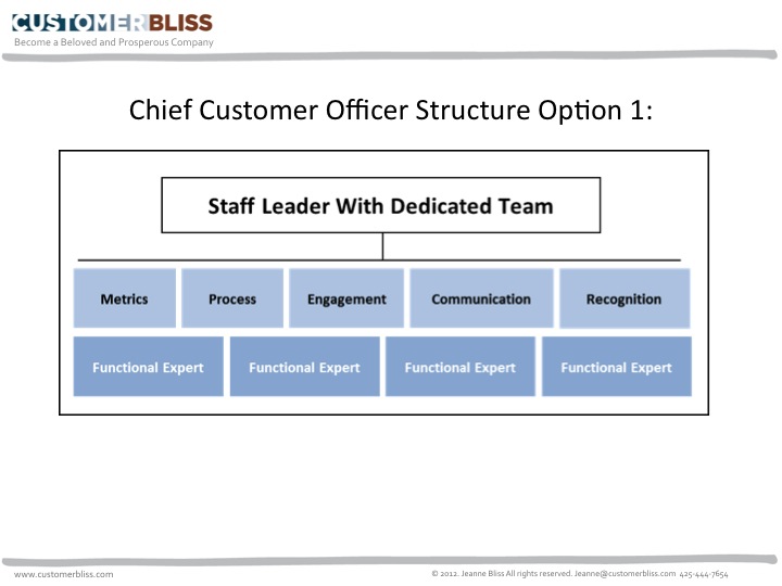 Cco Structure Amp Team Option 1 Staff Leader With A
