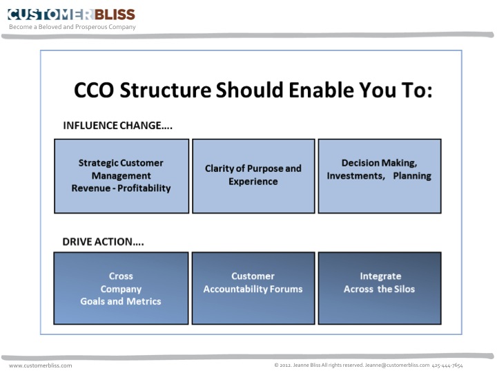 Customer Experience Org Chart