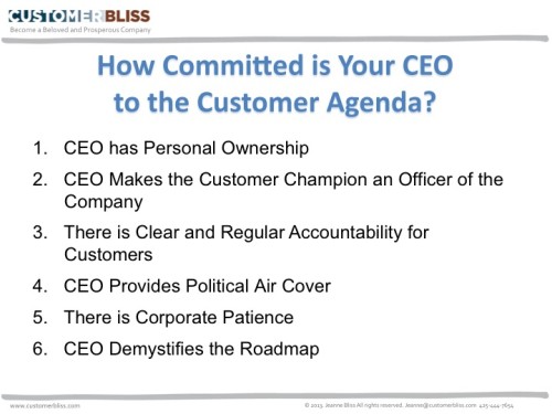 is your ceo serious about driving the customer agenda customer bliss company agenda