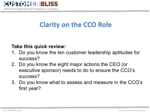clarifying the leadership function of the chief customer roles of a customer care officer