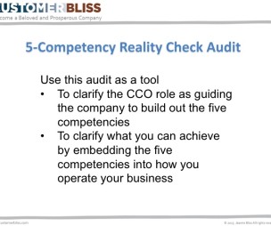 reality check audit