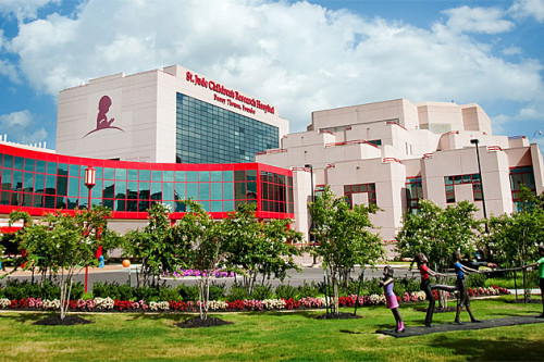 Donors as Assets at St. Jude Hospital