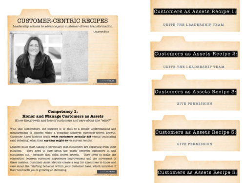 Customer Focus Competency