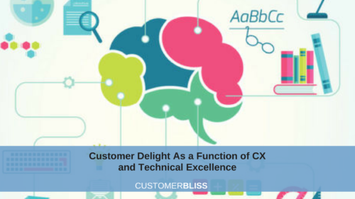 Customer Delight As a Function of Customer Experience and Technical Excellence