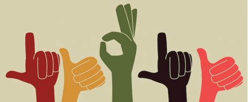 Bliss Net Promoter Score