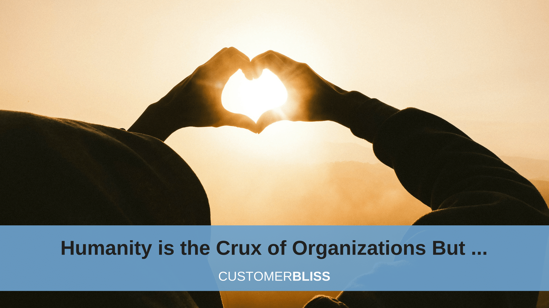 Humanity is the Crux of Organizations