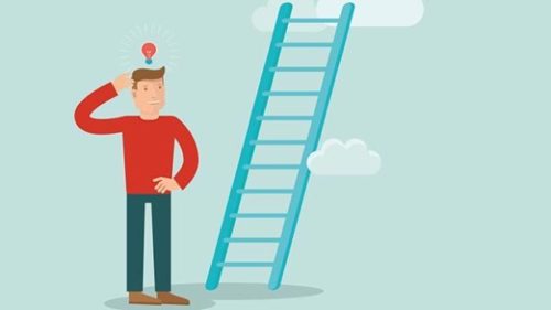 Chief Customer Officer Role Career Ladder
