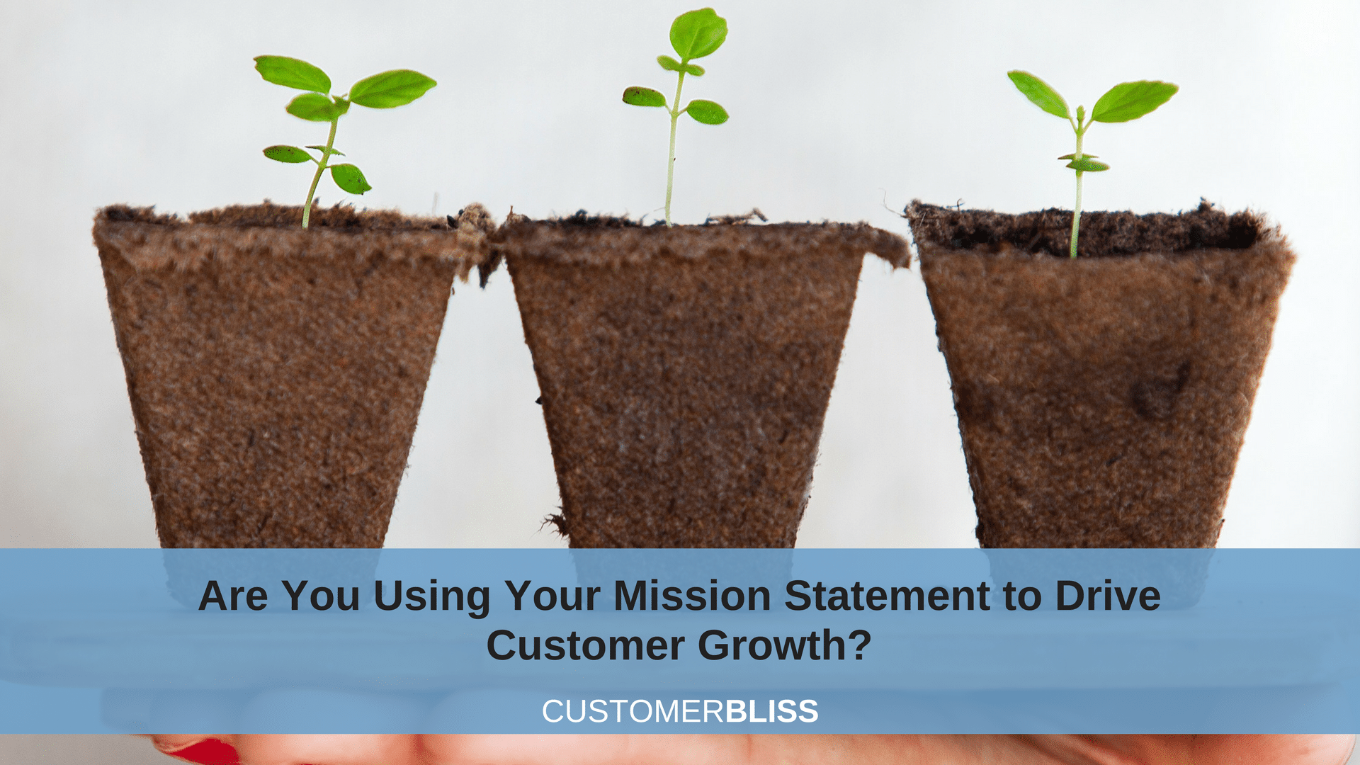 Drive Customer Growth Through Mission Statement
