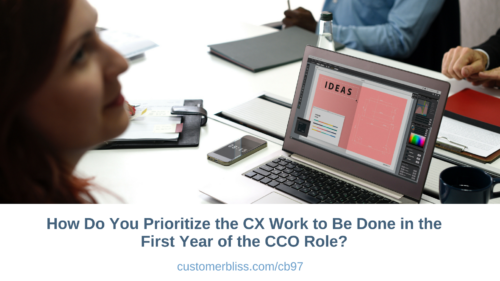How Do You Prioritize the CX Work to Be Done in the First Year of the CCO Role?