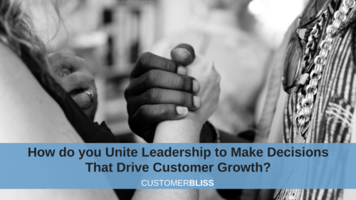 How do you Unite the Leadership Team to Make Decisions that Drive Customer Growth?