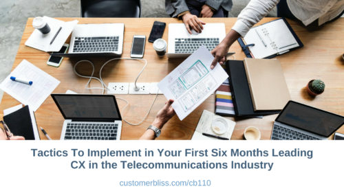 Tactics To Implement in Your First Six Months Leading CX in the Telecommunications Industry